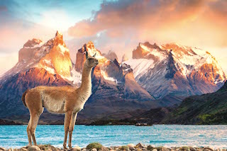 What Does “Torres del Paine” Mean? | Travel Research Online