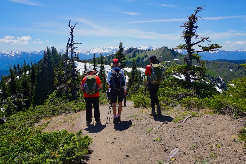 Hiking-Olympic-National-Park-and-Mt-Rainier-2