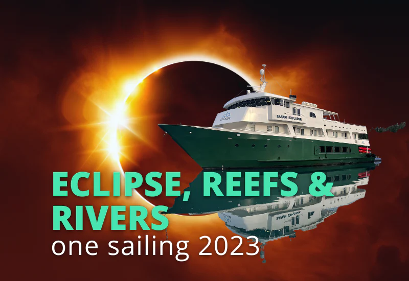 Banner ad advertising Eclipse Cruise