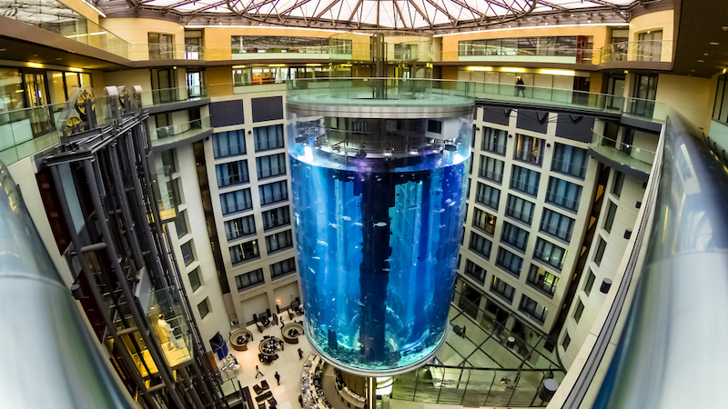 Berlin's Radisson Freestanding Aquarium Travel Research Online