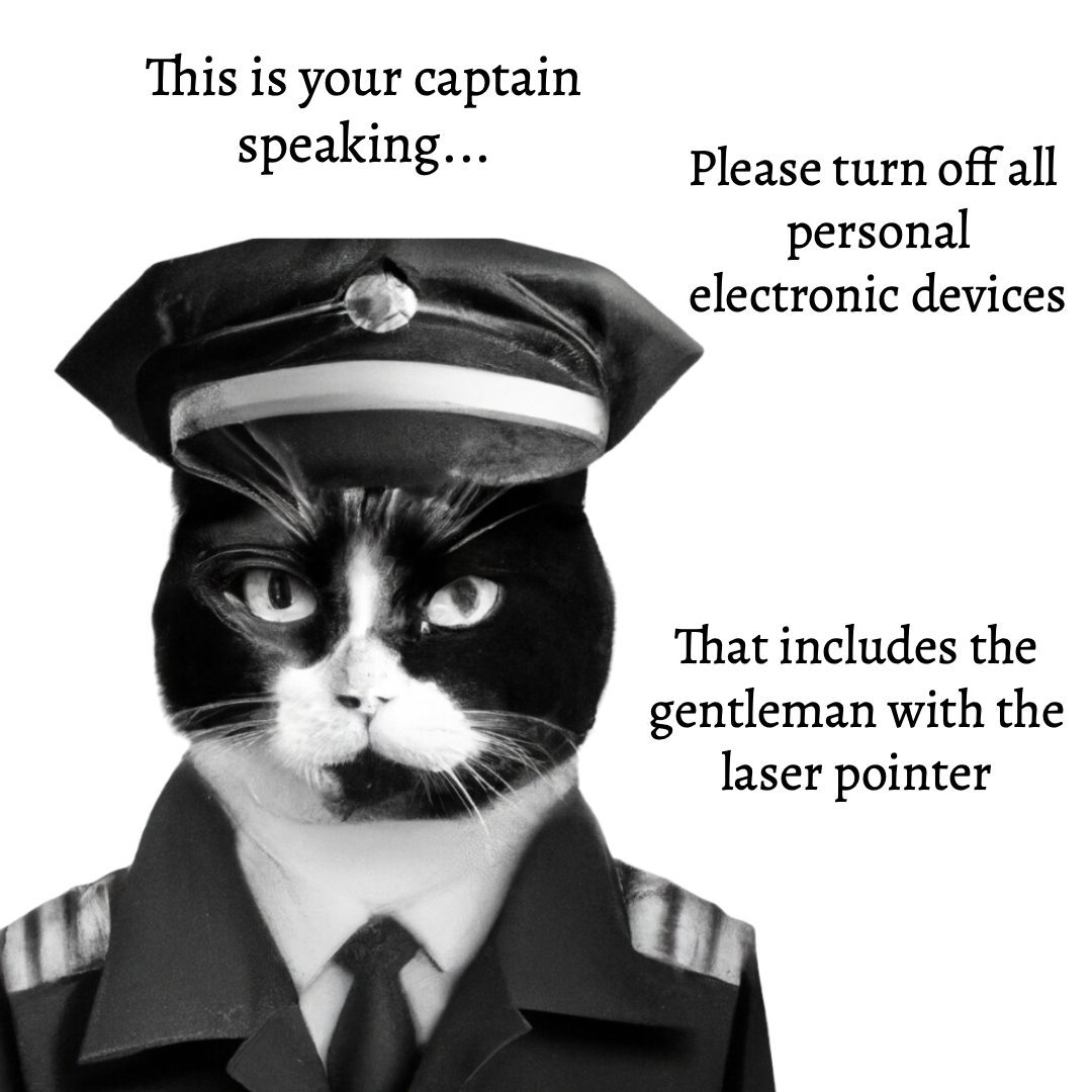 Cat in a pilot's uniform