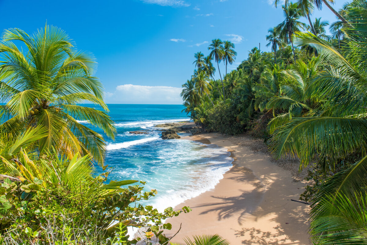 Wild caribbean beach of Manzanillo at Puerto Viejo, Costa Rica